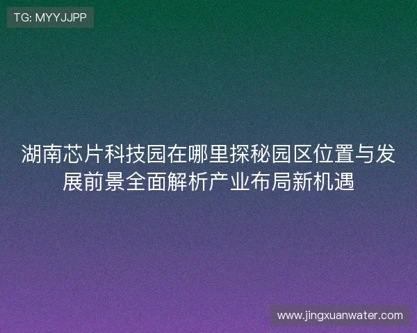 湖南芯片科技园在哪里探秘园区位置与发展前景全面解析产业布局新机遇